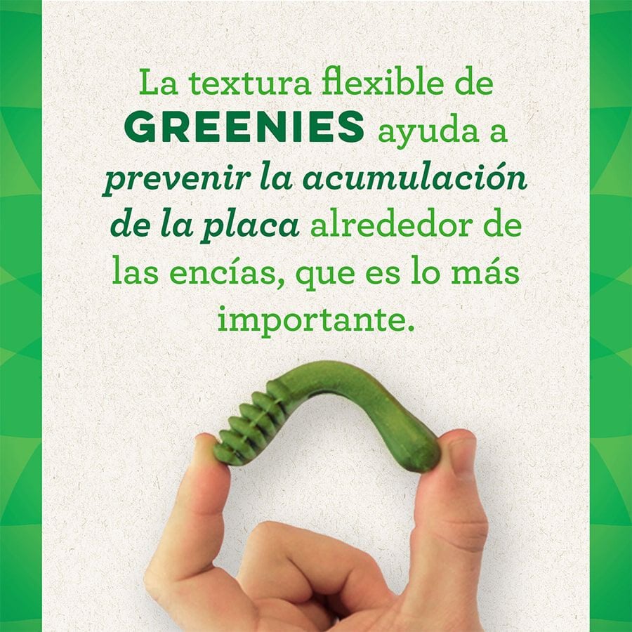 43 barritas Greenies Teenie Snacks Dentales Naturales para perros toy, , large indicador imagen numero 4